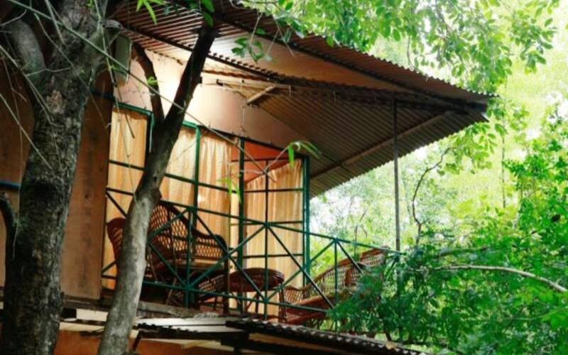 Glen View Resorts (30 Kms from Ooty), Masinagudi 3